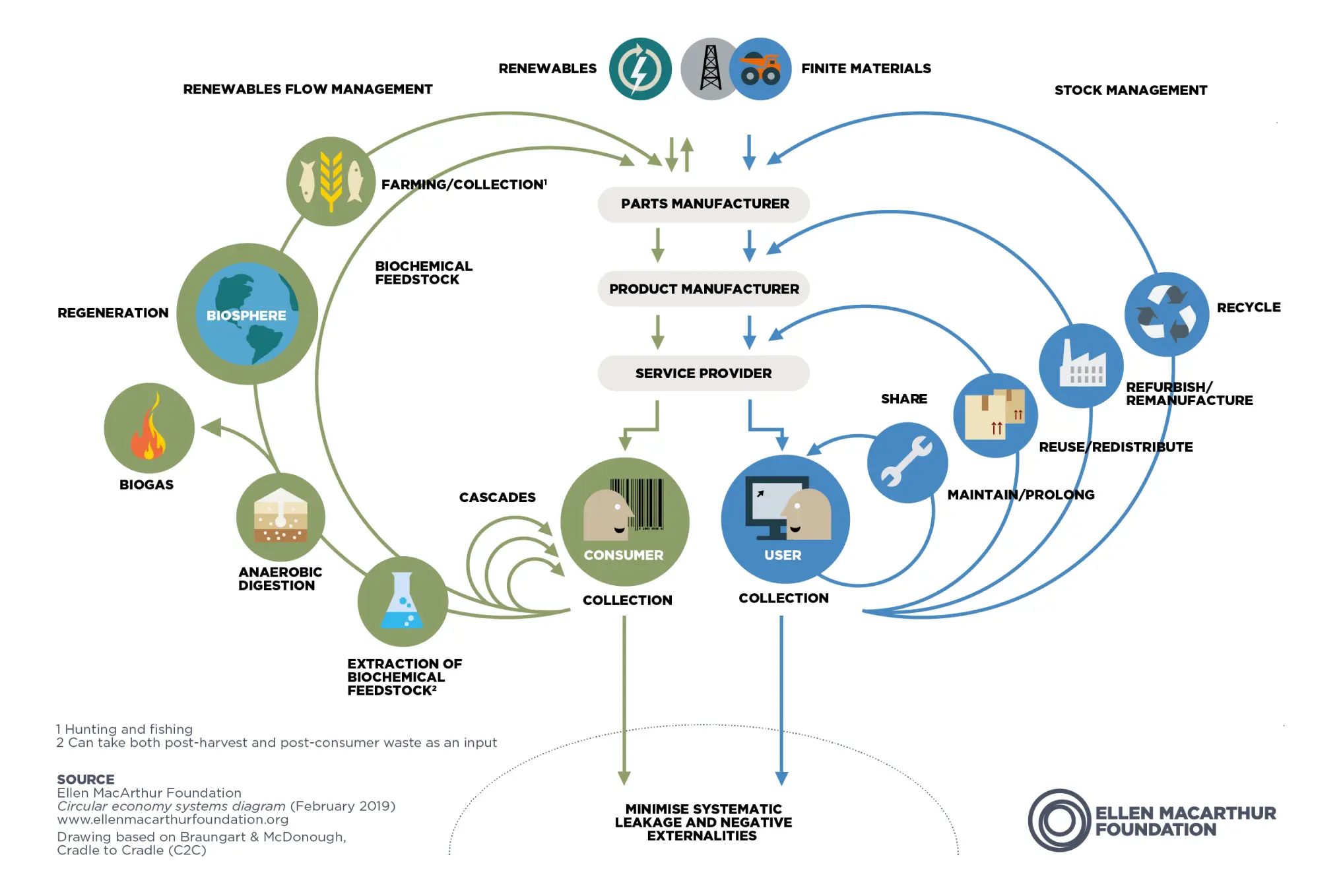 ¿Cómo implementar el Diagrama de Mariposa?: Guía paso a paso...